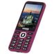 Мобільний телефон Sigma X-style 31 Power Type-C Purple (4827798855041) 4827798855041 фото 3