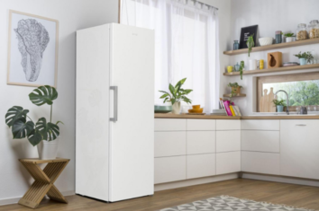 Морозильна камера GORENJE FN 619 EEW5 740887 фото